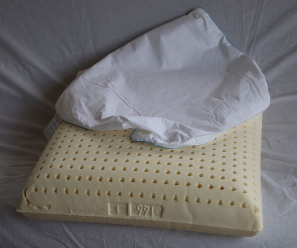 Hoofdkussen_Latex_Classique_55x55