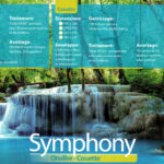 Hoofdkussen_Symphony